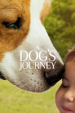 A Dog’s Journey (2019)